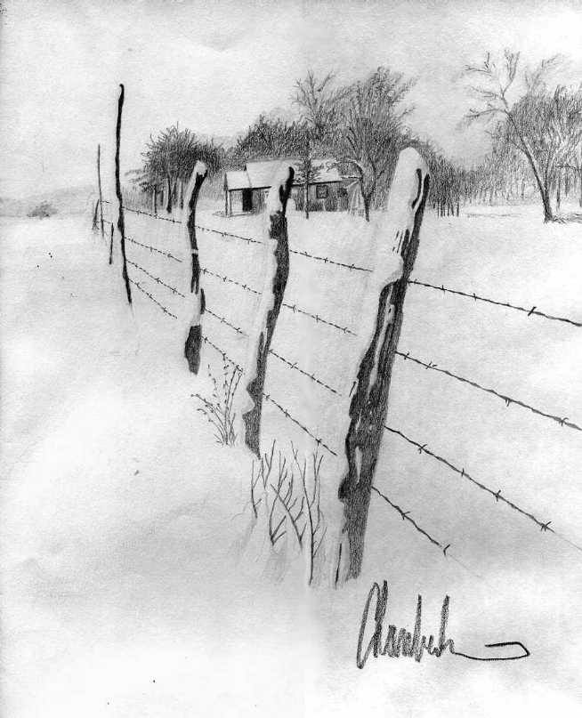 snow21x1.jpg